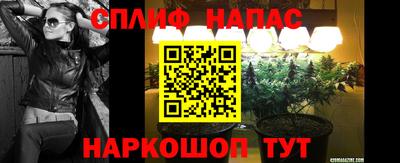 гашик Пугачёв