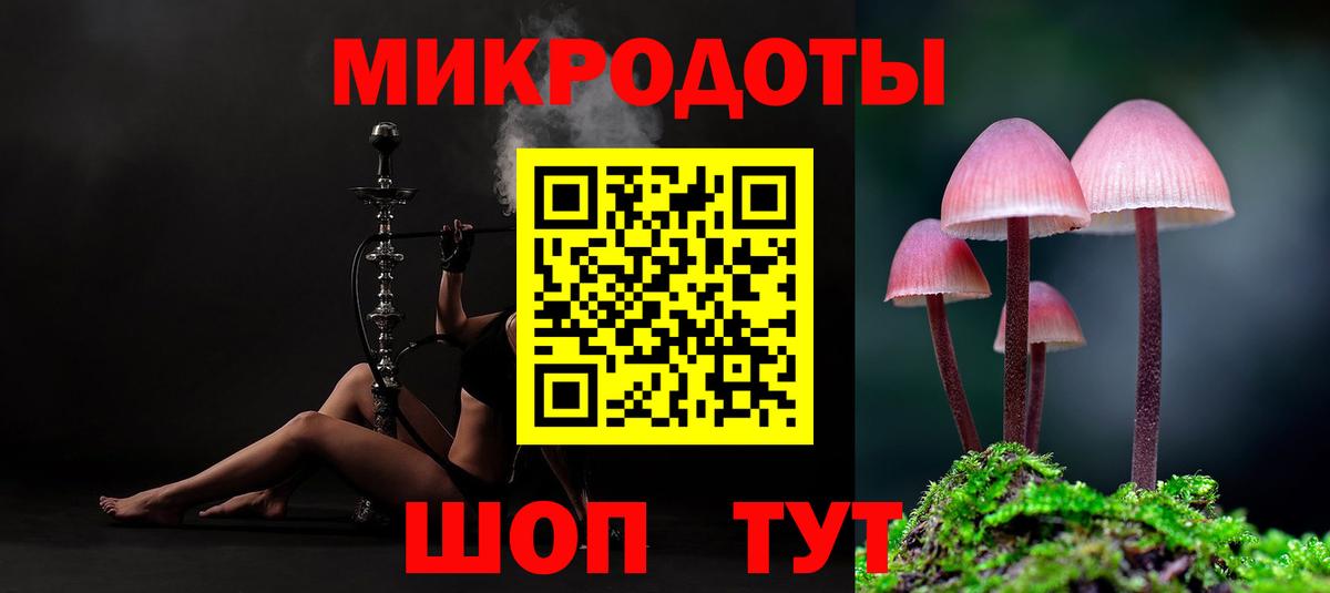 Осинники  Псилоцибиновые грибы GOLDEN TEACHER  Вход с VPN  Псилоцибиновые грибы прущие грибы 